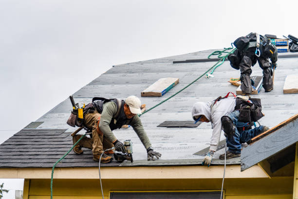 Professional Gutter Installation technician working in Dozier, AL
